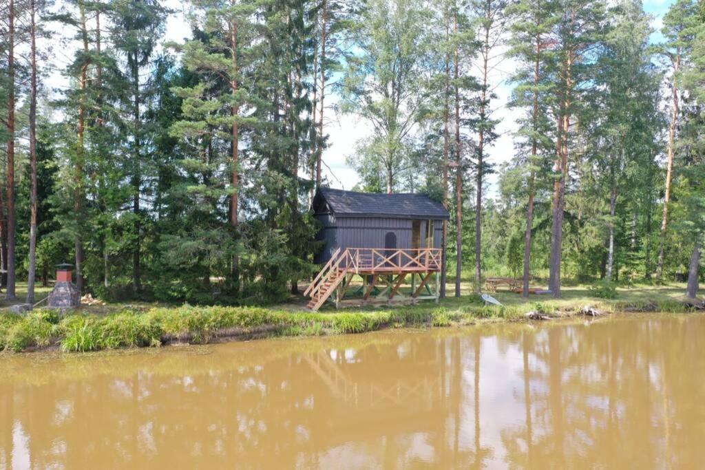 Dragon House In The Tree! Jacuzzi, Sauna ,Cinema,Heated Lici  エクステリア 写真
