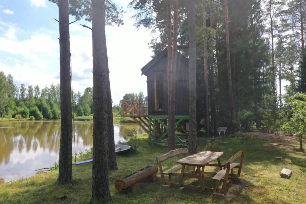 Dragon House In The Tree! Jacuzzi, Sauna ,Cinema,Heated Lici  エクステリア 写真