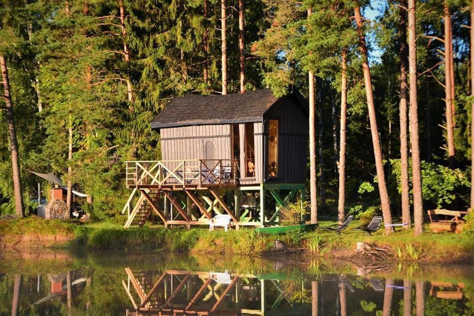 Dragon House In The Tree! Jacuzzi, Sauna ,Cinema,Heated Lici  エクステリア 写真