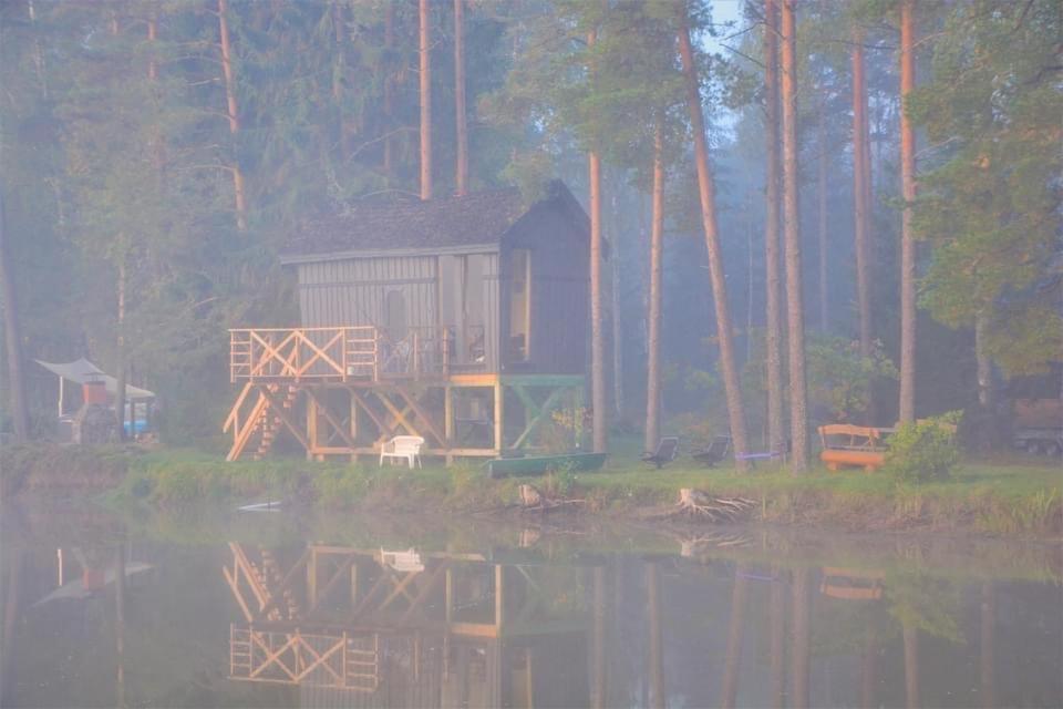 Dragon House In The Tree! Jacuzzi, Sauna ,Cinema,Heated Lici  エクステリア 写真