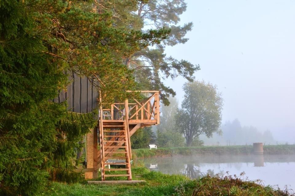 Dragon House In The Tree! Jacuzzi, Sauna ,Cinema,Heated Lici  エクステリア 写真