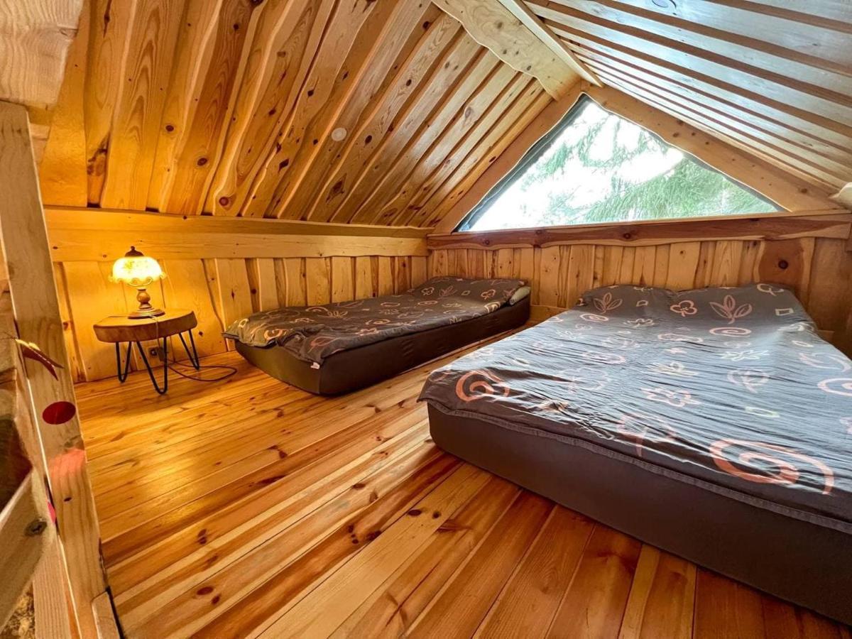 Dragon House In The Tree! Jacuzzi, Sauna ,Cinema,Heated Lici  エクステリア 写真