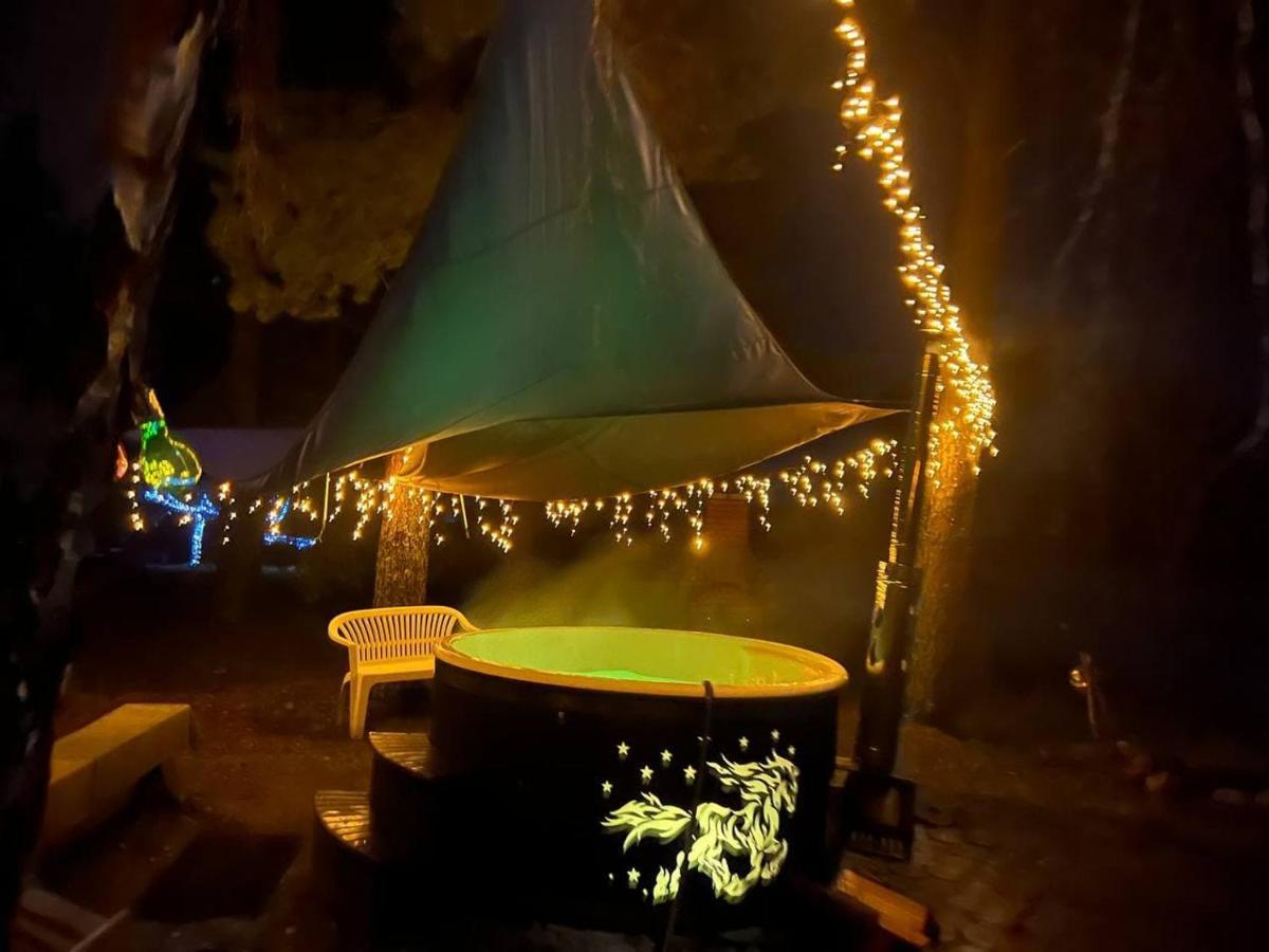 Dragon House In The Tree! Jacuzzi, Sauna ,Cinema,Heated Lici  エクステリア 写真