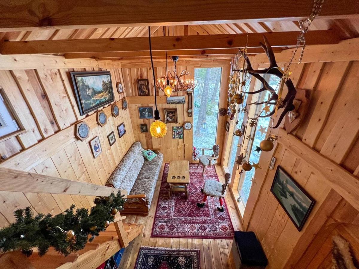 Dragon House In The Tree! Jacuzzi, Sauna ,Cinema,Heated Lici  エクステリア 写真