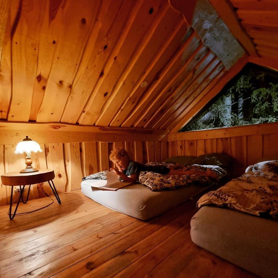 Dragon House In The Tree! Jacuzzi, Sauna ,Cinema,Heated Lici  エクステリア 写真
