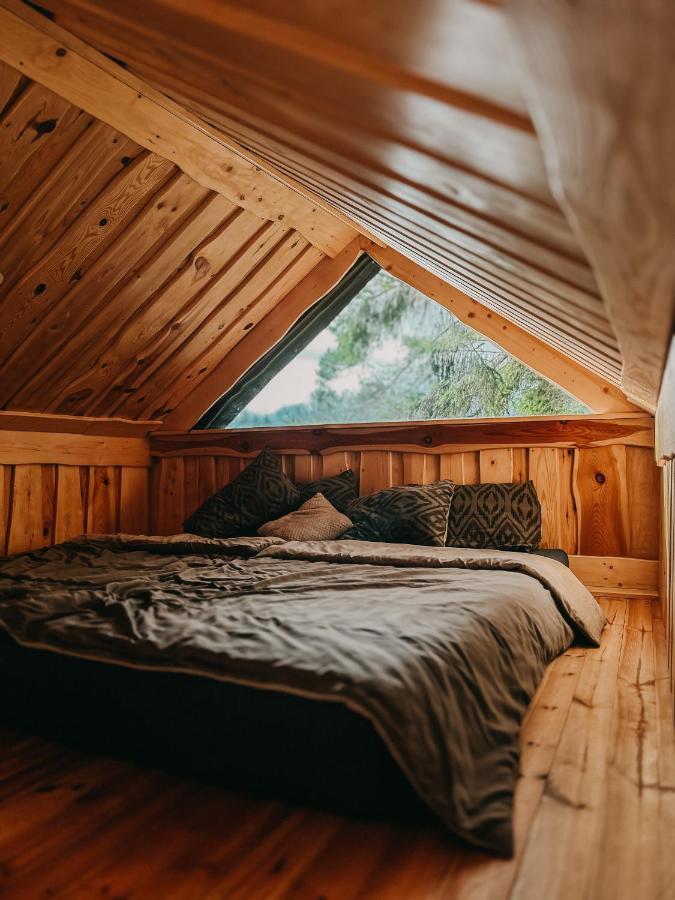 Dragon House In The Tree! Jacuzzi, Sauna ,Cinema,Heated Lici  エクステリア 写真