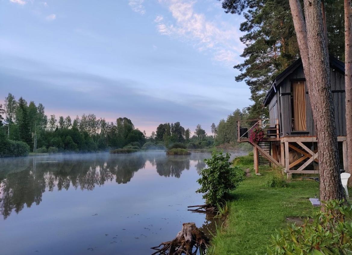 Dragon House In The Tree! Jacuzzi, Sauna ,Cinema,Heated Lici  エクステリア 写真