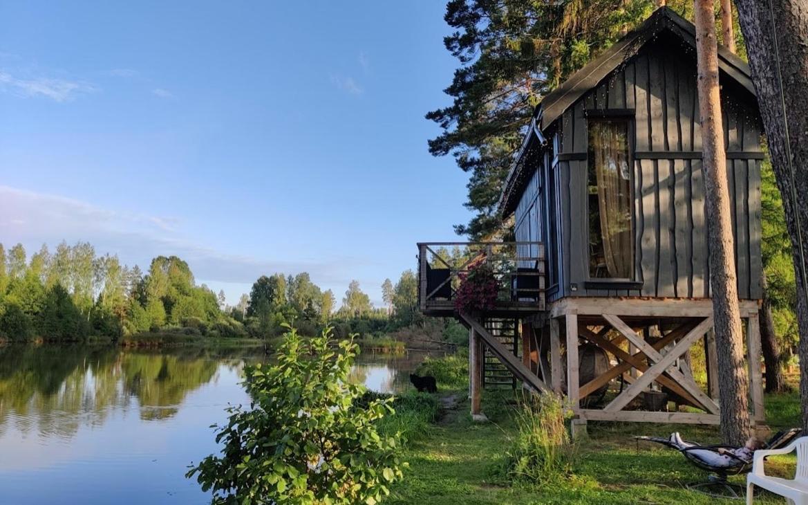 Dragon House In The Tree! Jacuzzi, Sauna ,Cinema,Heated Lici  エクステリア 写真